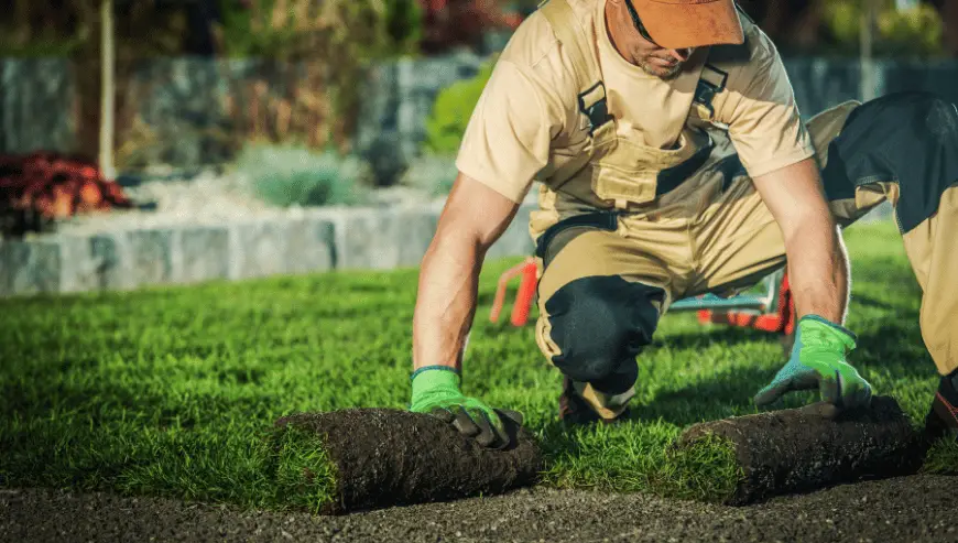 Azienda di servizi di giardinaggio e prodotti orticoli